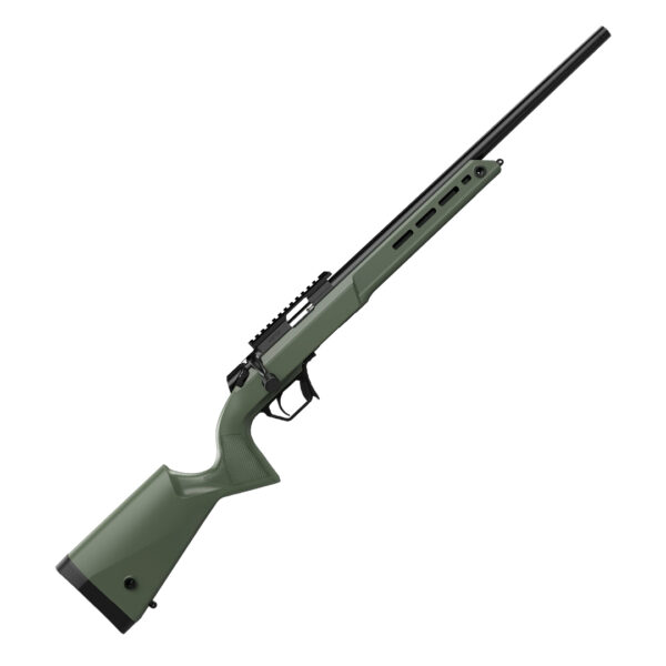 Carabina Retay Asend Sporter ODG Green 20" (22LR)