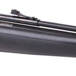 Rifle PCP Crosman Benjamin Maximus 5.5 mm + Inflador 200 Bar